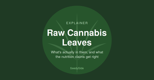 Raw Cannabis Leaves: What's Actually in Them, and What the Nutrition Claims Get Right
