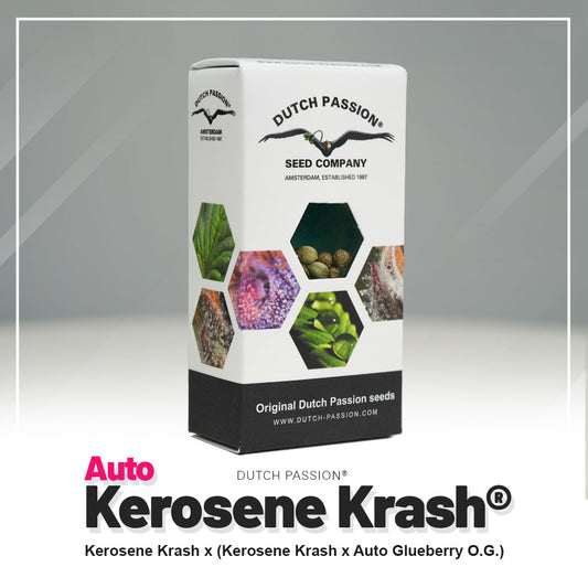 KEROSENE KRASH AUTO STRAIN