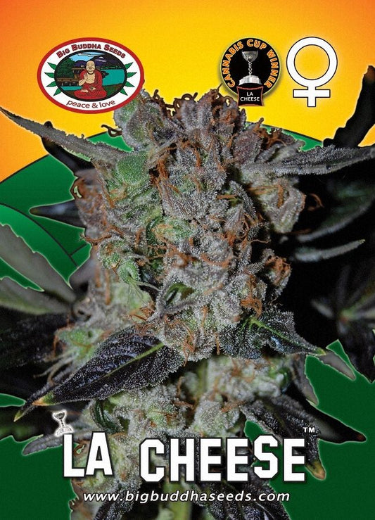 BIG BUDDHA: LA CHEESE