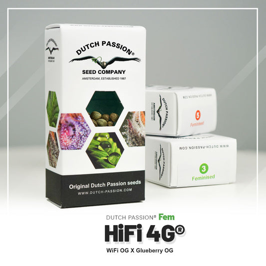 HIFI 4G STRAIN