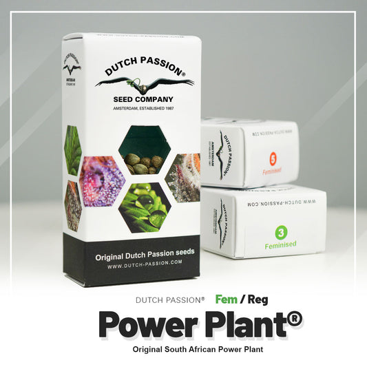 POWER PLANT STRAIN