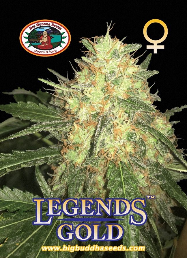 BIG BUDDHA: LEGENDS GOLD - SeedySide