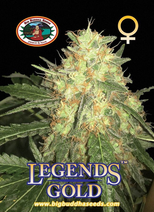 BIG BUDDHA: LEGENDS GOLD - SeedySide