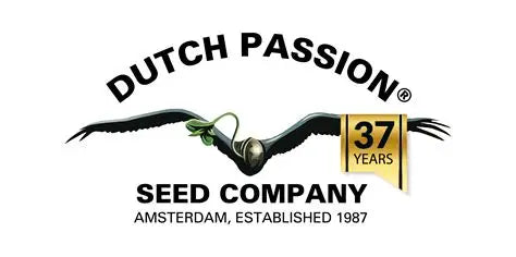 Dutch Passion