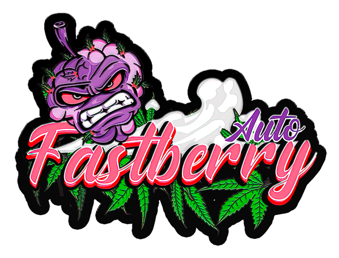 FASTBERRY AUTO STRAIN