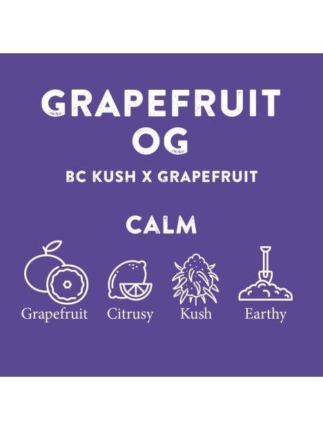 TERPENE PROFILES (10ML)