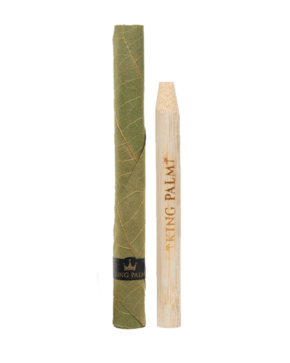 KING PALM XL / XXL ROLLS - SeedySide