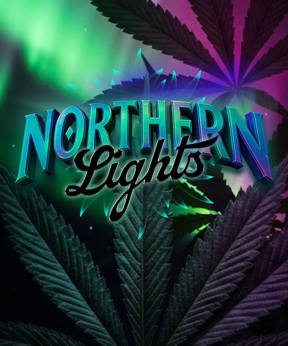 NORTHERN LIGHTS STRAIN - SeedySide