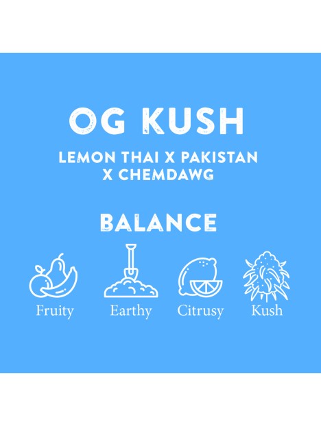 TERPENE PROFILES (10ML)