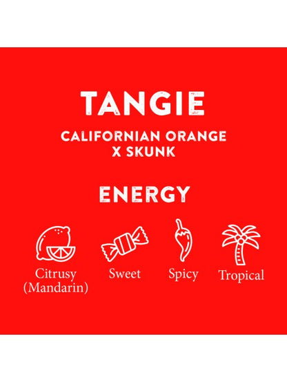 TERPENE PROFILES (10ML)